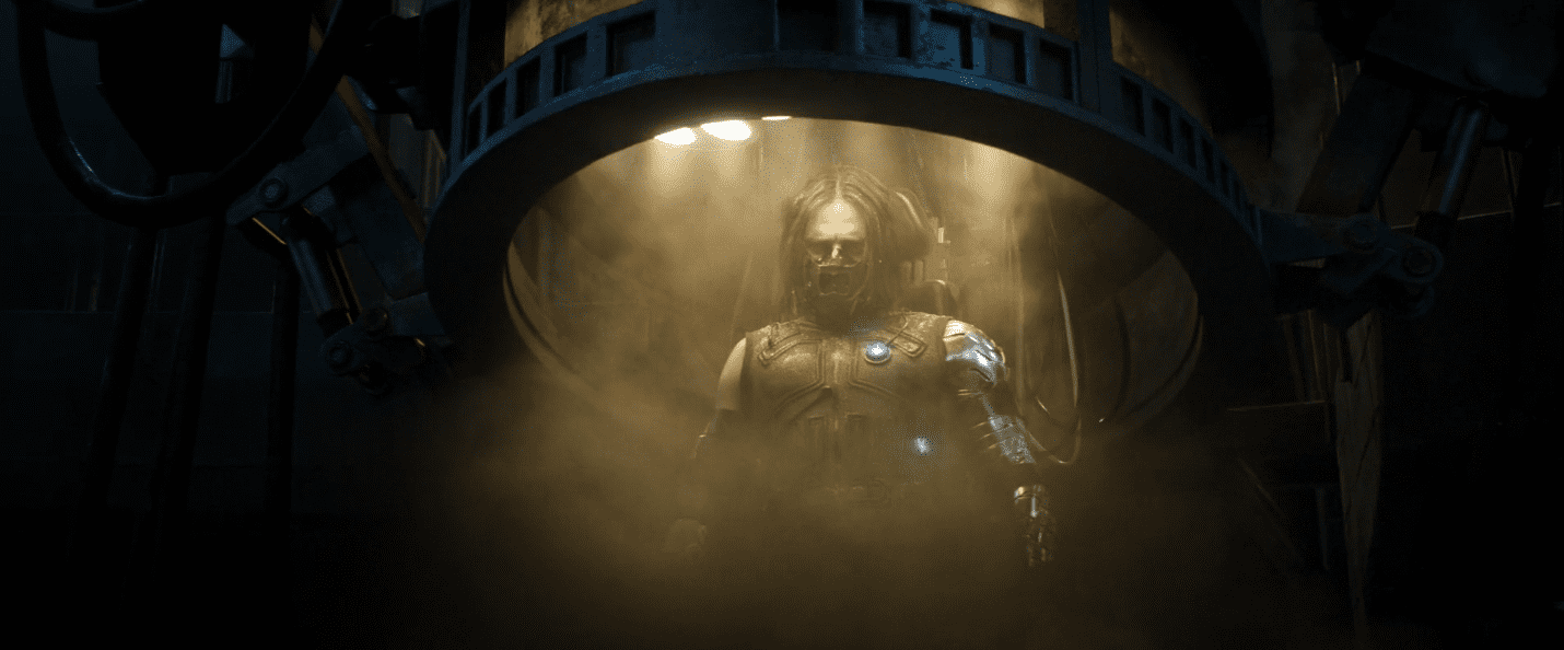 le soldat de l'hiver