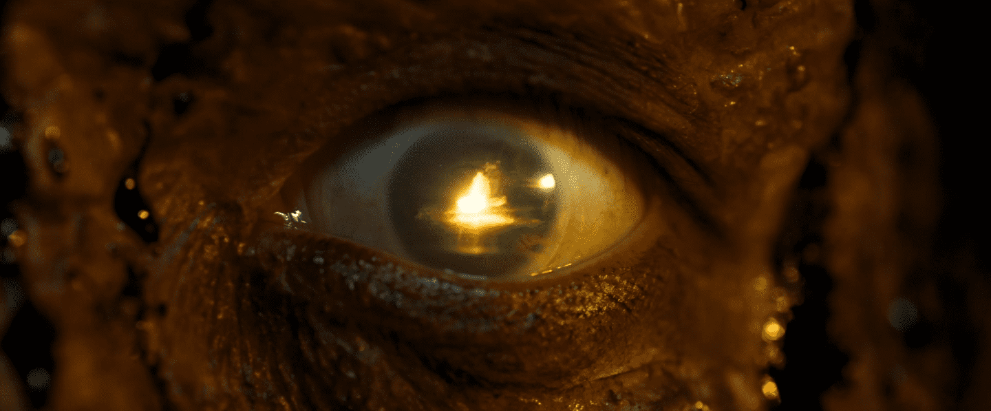 reflet dans l'oeil d'un zombie